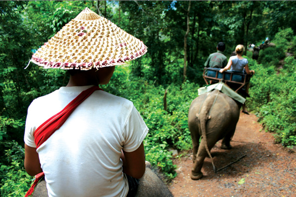 Elephant riding - thailand