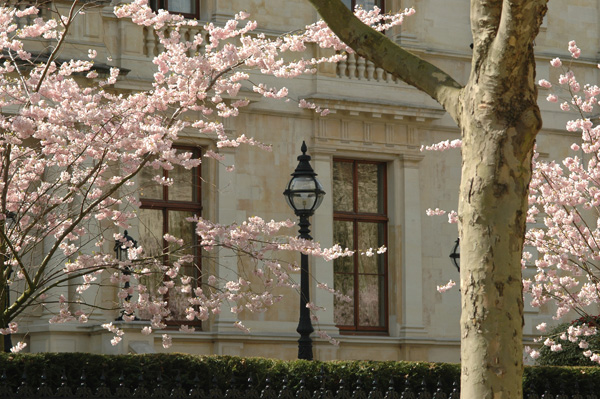 Springtime in London